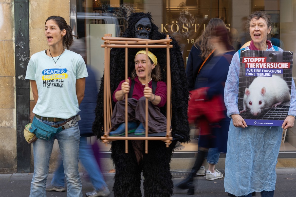 29.10.2022, Nordrhein-Westfalen, Münster: Demonstranten der Organisation «Ärzte gegen Tierversuche e.V.» setzen sich gegen Tierversuche ein. Foto: Friso Gentsch/dpa +++ dpa-Bildfunk +++