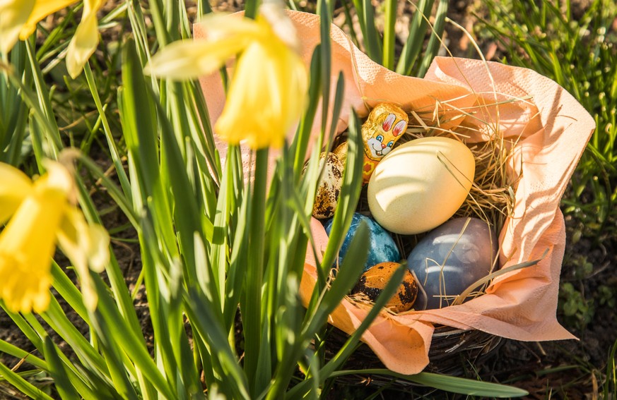 Geschenke, Essen und Deko zu Ostern können eine Menge Müll produzieren – und damit die Umwelt belasten. Aber das geht auch anders.