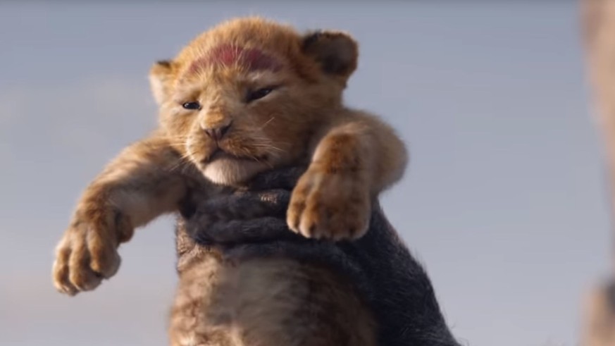 Simba in real: Ist er nicht putzig?