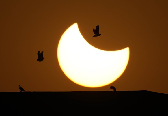 dpatopbilder - 25.10.2022, Indien, Ahmedabad: Tauben fliegen an der Sonne vorbei, die w�hrend der partiellen Sonnenfinsternis teilweise durch den Mond bedeckt ist. Foto: Ajit Solanki/AP/dpa +++ dpa-Bi ...