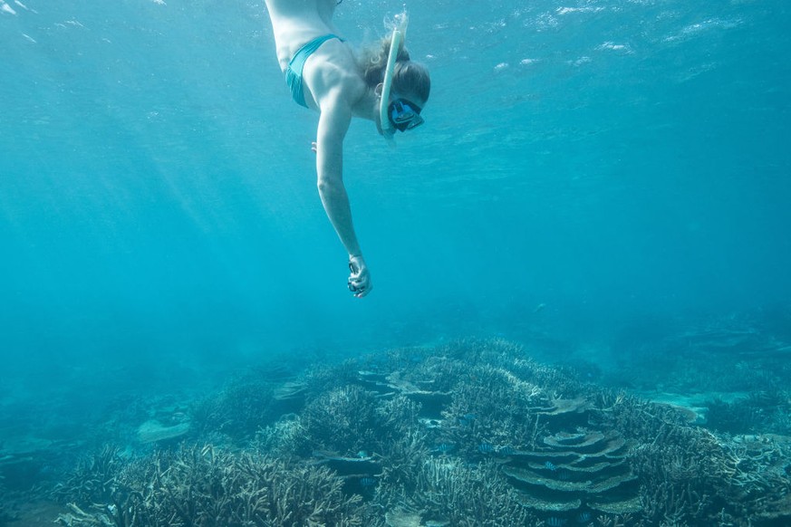 LADY ELLIOT ISLAND, AUSTRALIA - APRIL 12: Annette Edmondson of Australia swims to view coral during an athlete Great Barrier Reef experience on day eight of the Gold Coast 2018 Commonwealth Games at t ...