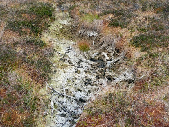 Nach einem heißen Sommer ist das Moor in der Rhön ausgetrocknet.