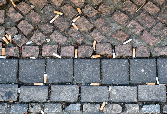 Zahlreiche auf den Boden geworfene Zigarettenstummel liegen auf dem Pflaster des Gendarmenmarktes. Es dauert etwa 10 bis 15 Jahre, bis ein Filter auf verrottet ist. Der Filter einer Zigarette enthält  ...