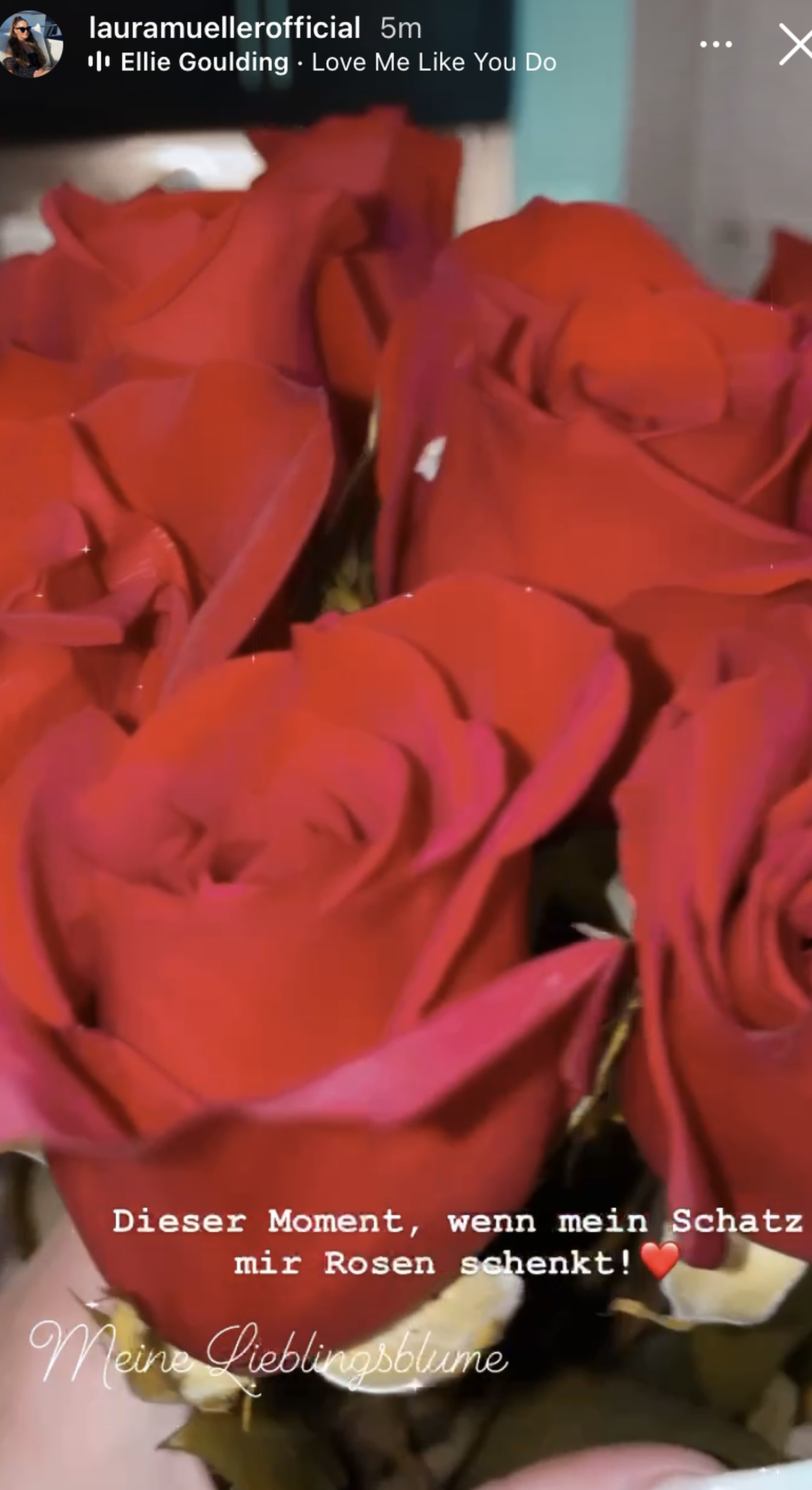 Laura Müller postete einen Blumenstrauß von Michael Wendler.