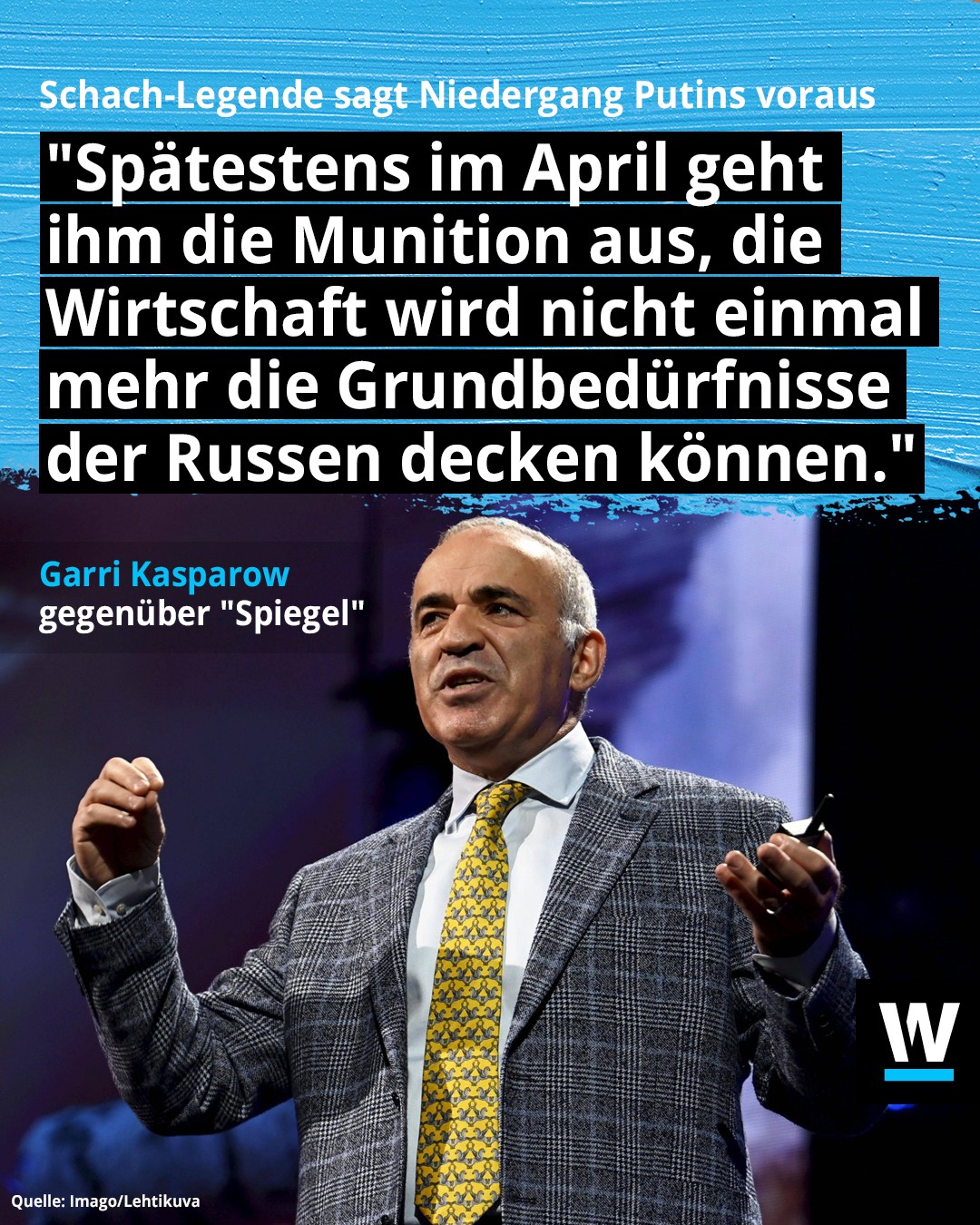 watson - News ohne Bla Bla