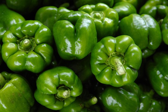 Grüne Paprika sind von allen Sorten in der Regel am längsten haltbar.