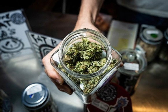 BANGKOK, THAILAND - 2022/07/26: A bud-tender at Fat Bud&#039;s, a small dispensary in Bangkok, shows a jar of the cannabis flowers for sale at their shop, which is focused on buying and selling cannab ...