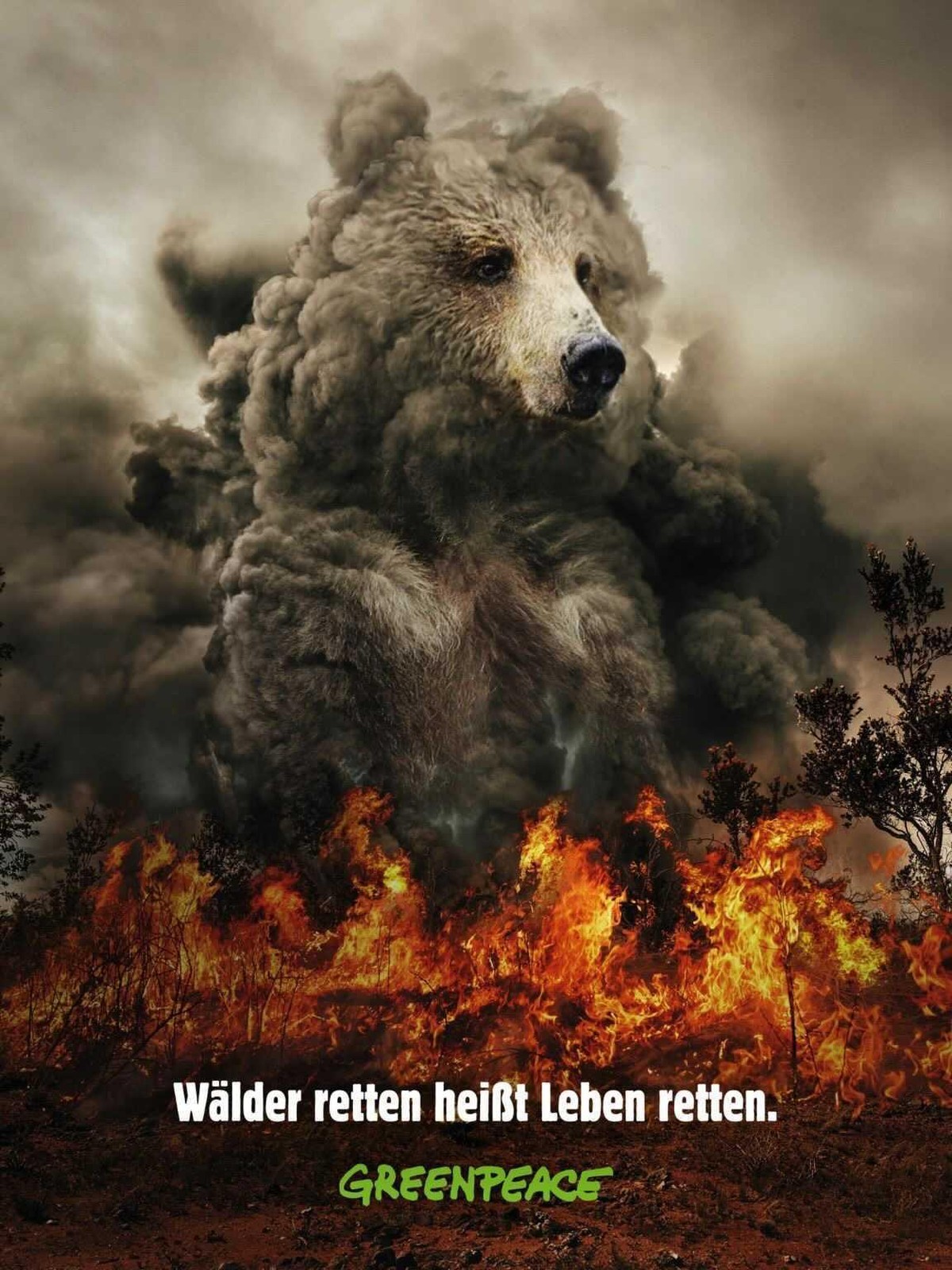 Mit dieser eindrucksvollen Kampagne macht Greenpeace auf den verheerenden Zustand unserer Wälder aufmerksam.