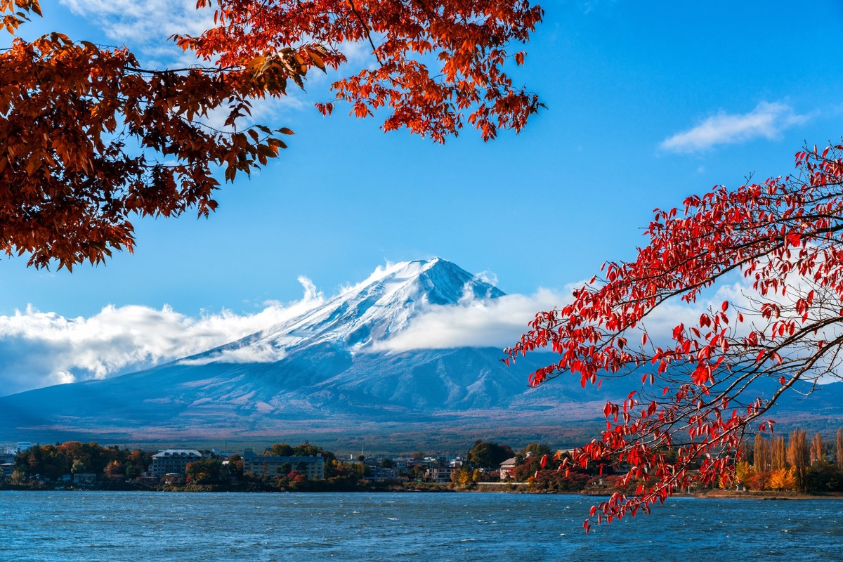 Colorful Autumn in Mount Fuji, Japan - Lake Kawaguchiko is one of the best places in Japan to enjoy Mount Fuji scenery of maple leaves changing color giving image of those leaves framing Mount Fuji.