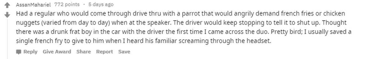 "Als ich im Drive-Thru gearbeitet habe, hatte ich einen Stammkunden, dessen Papagei immer wütend nach Pommes oder Chicken-Nuggets verlangte (je nachdem), sobald sie an der Sprechanlage hielten. Der Fa ...