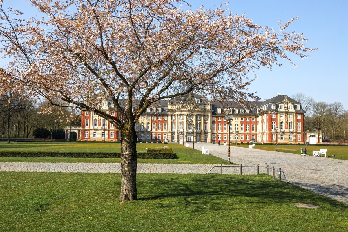 Diese Uni heißt in Zukunft schlicht Universität Münster.