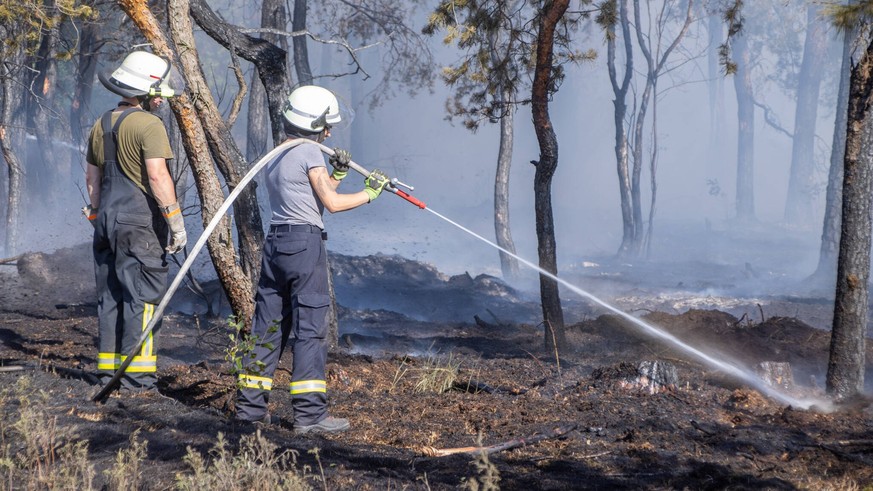 Im Juli brannten wieder große Flächen Wald ab, ausgelöst von extremer Trockenheit und langen Dürreperioden.