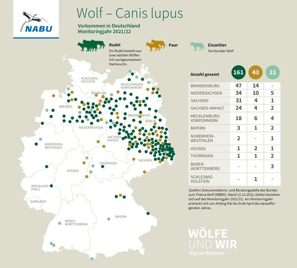 Vor allem im Nordosten Deutschlands leben viele Wölfe.