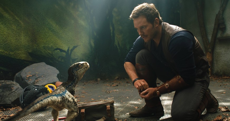 Velociraptor Blue has imprinted on Owen (CHRIS PRATT) in Jurassic World: Fallen Kingdom. When the island s dormant volcano begins roaring to life, Owen and Claire mount a campaign to rescue the remain ...