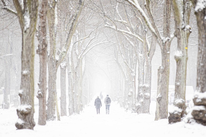 Zwei Personen gehen im Schneesturm entlang einer Allee in Berlin, 07.02.2021. Berlin Deutschland *** Two people walking in a snowstorm along an avenue in Berlin, 07 02 2021 Berlin Germany Copyright: x ...