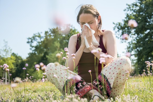 ILLUSTRATION - Eine Frau sitzt am 15.08.2017 an einem Badesee in Oranienburg (Brandenburg) auf einer Wiese und schnaubt sich die Nase (gestellte Szene). Foto: Christin Klose || Modellfreigabe vorhande ...