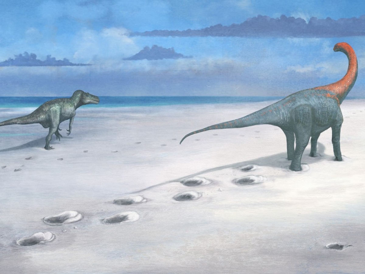 HANDOUT - 02.01.2025, Großbritannien, Grafschaft Oxfordshire: Das undatierte Handout der Universität Birmingham zeigt, wie der Megalosaurus und der Cetiosaurus die unter Schlamm begrabenen Fußabdrücke ...