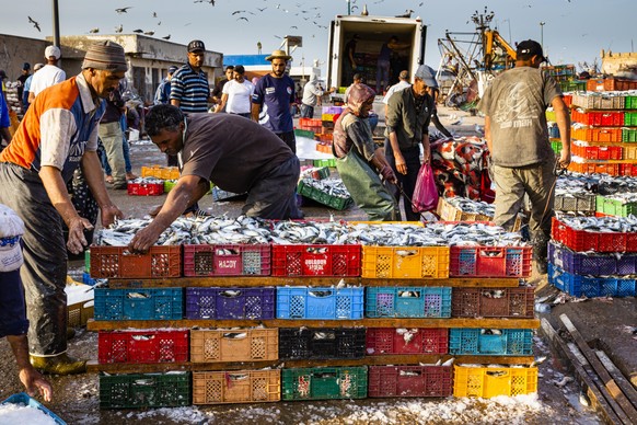 Fischer entladen den Fang im Hafen von Essaouira, Marokko, Afrika