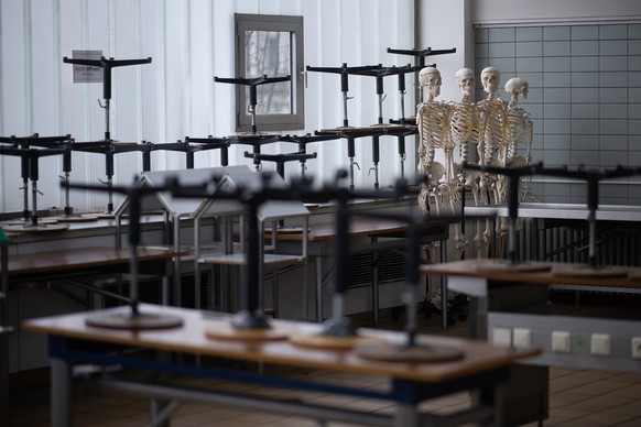 PRODUCTION - 03/23/2023, Hessen, Gießen: Artificial skeletons are at the Institute for Anatomy and Cell Biology of the Justus-Liebig-University Giessen in a hall where students work on body donations at ...