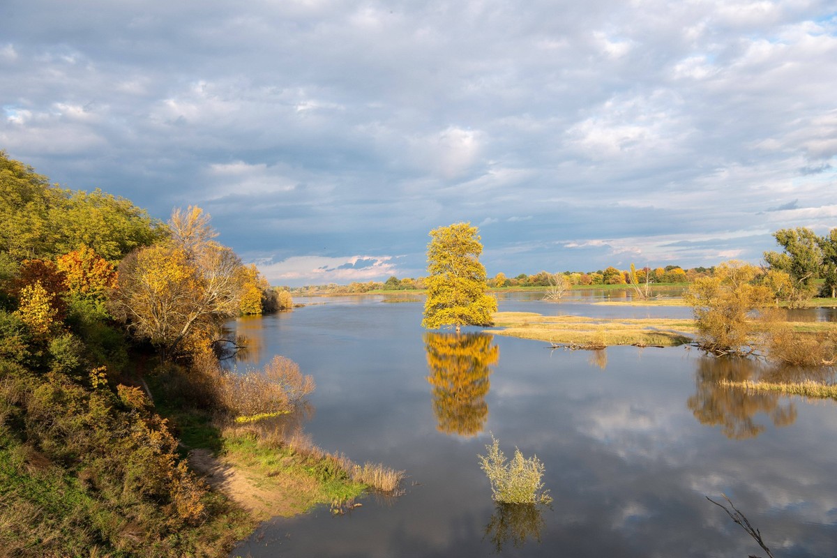 133/ Flut an der Oder zwischen Lebus und Frankfurt/Oder, 24.10.20, Der Baum und ein Strauch steht im Wasser, der Uferweg ist ueberschwemmt., Lebus Deutschland, Germany *** 133 Flood at the Oder betwee ...