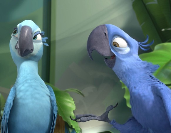 Die freiheitsliebende Jewel (links) und der domestizierte Blu (rechts) sind die letzten Spix-Aras und sollen im Animationsfilm "Rio" miteinander verpaart werden.