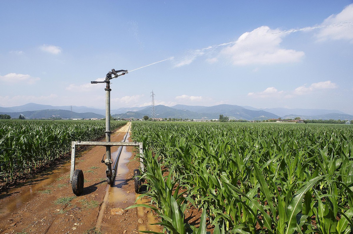 Castegnato (Bs),Italy,artificial irrigation of a cornfield