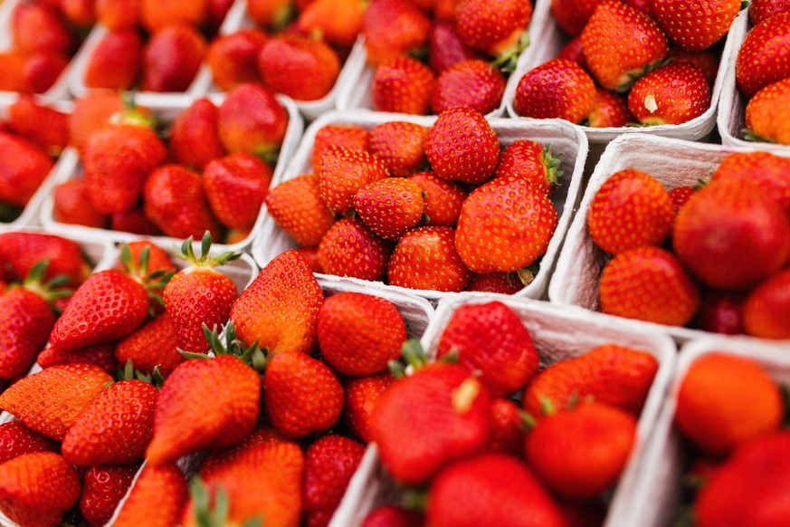 18.04.2023, Baden-Württemberg, Oberkirch: Schalen mit frischen Erdbeeren stehen in einer Kiste. In Südbaden wachsen unter Folientunneln bereits die ersten Erdbeeren. Die Erdbeeren benötigen für das Wa ...