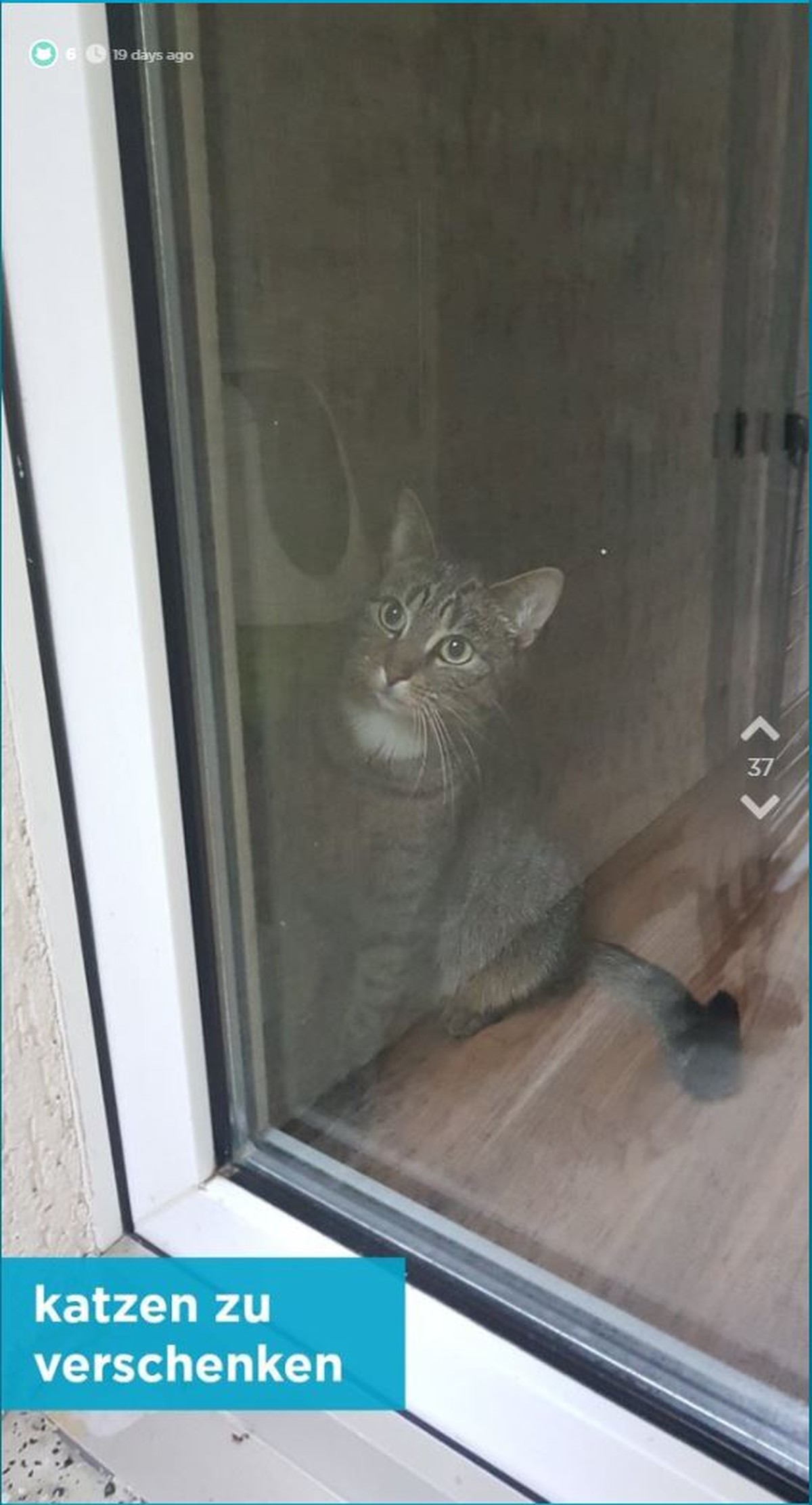 jodel.com Katze Balkon Raucher