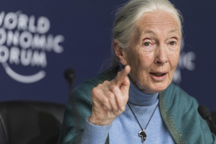 Jane Goodall, English primatologist and anthropologist, addresses a press conference during the 50th annual meeting of the World Economic Forum, WEF, in Davos, Switzerland, Wednesday, January 22, 2020 ...