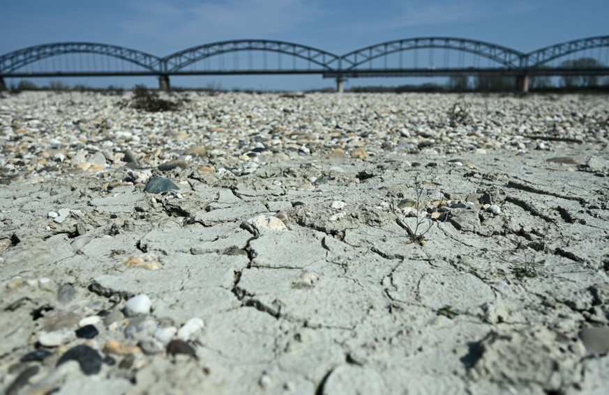 CASEI GEROLA, ITALY - MARCH 23: A view of dried and cracked soil on the riverbed of Po, longest river in Italy, recorded the lowest levels comparing to previous years as northern Italy hit by drought  ...