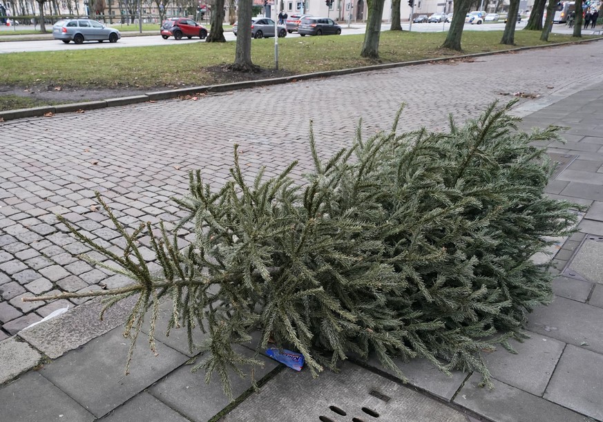 28.12.2023, Hamburg: Ein Weihnachtsbaum liegt auf einem Gehweg im Stadtteil St. Georg. Foto: Marcus Brandt/dpa +++ dpa-Bildfunk +++