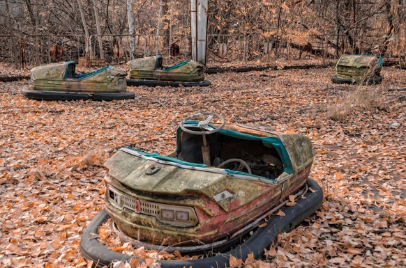 Noch immer dürfen weite Teile des "roten Waldes" in Tschernobyl wegen der Strahlenbelastung nicht betreten werden.