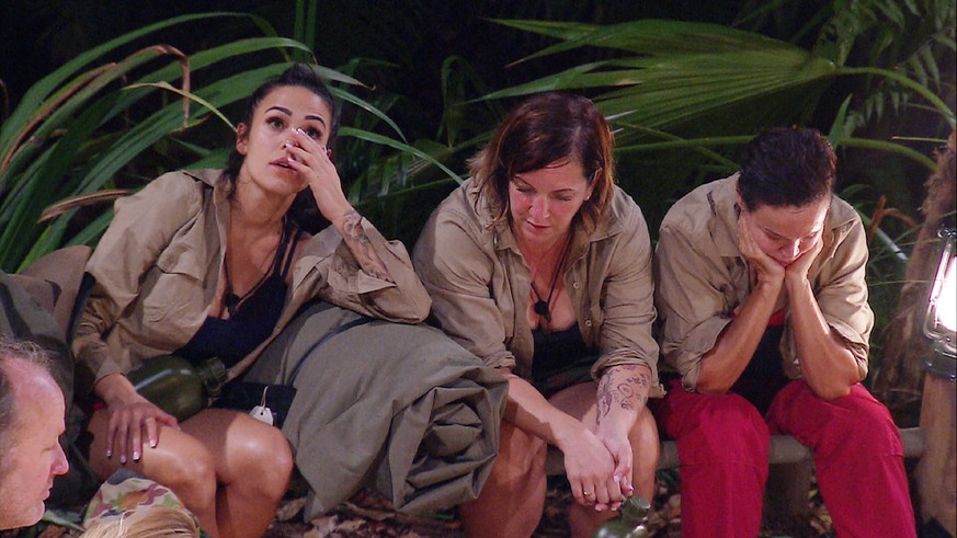 Dschungelcamp Finale Expertin Berichtet Was Die Ibes Diat Mit Dem Korper Macht Watson