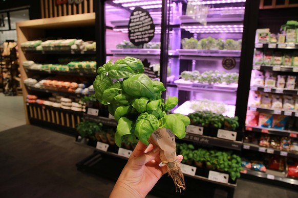 Infarm verkauft Kräuter und Gemüse genau dort, wo es auch angebaut wird – in einem Treibhausschrank mitten im Supermarkt.