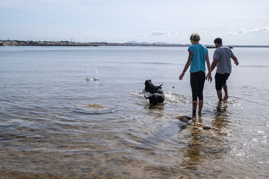 couple playing with dogs, Es Racó de s&#039;Arena beach, Llucmajor, Mallorca, Balearic Islands, Spain.