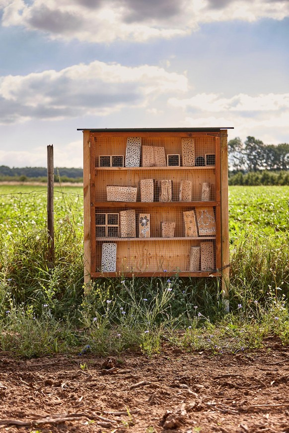 Solche Insektenhotels am Feldrand bieten Bienen und andere Insekten einen perfekten Zwischenstopp und dienen gleichzeitig als Nistplätze. Bild: REWE Group