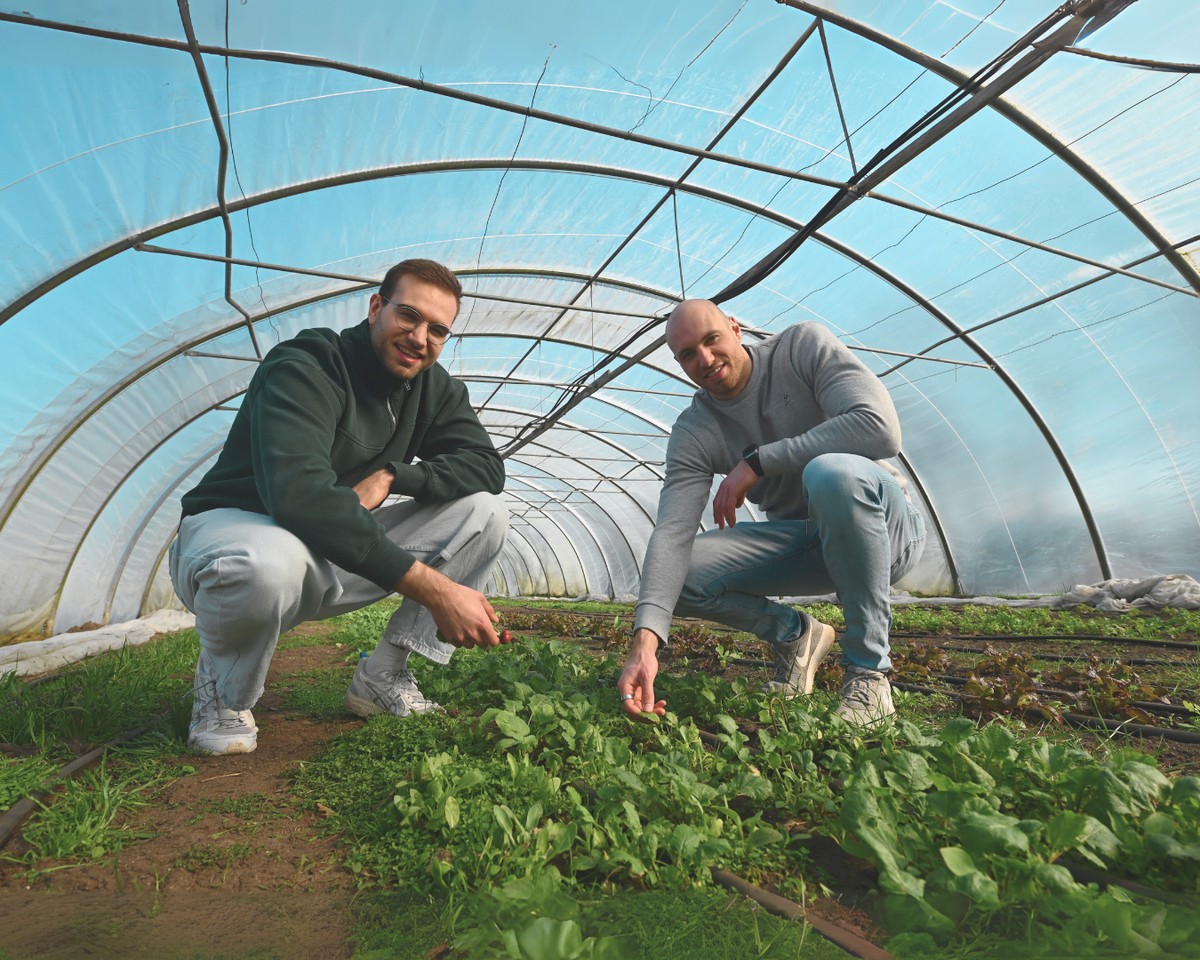 Gemüse statt Milchkühe: Maik und Marco Möller bauen auf ihrem Hof Gemüse an.