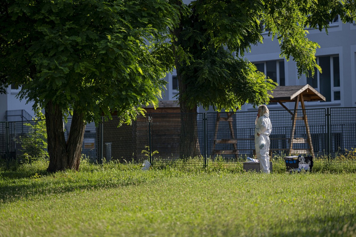 27.06.2024, Th�ringen, Erfurt: Mitarbeiter der Spurensicherung sind bei einem Einsatz in der N�he eines mutma�lichen Tatorts zu sehen. Ein Mann wurde in Erfurt erschossen. Der Gro�einsatz der Polizei ...