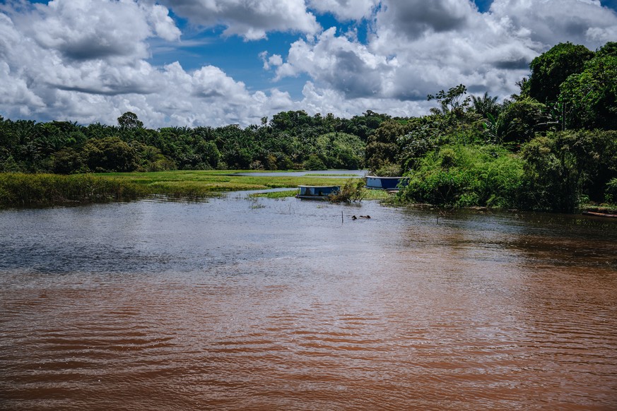 Das sogenannte "Meeting of the waters": Hier fließen die beiden Flüsse, der schwarze Rio Negro und der sandfarbene Amazonas, ineinander