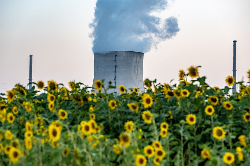 Wasserdampf steigt hinter Sonnenblumen aus dem Kühltum des Atomkraftwerks (AKW) Isar 2.