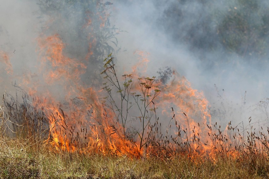 A grass fire or bush fire in the wild Copyright: xx 3091089