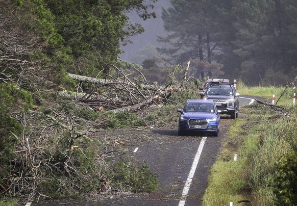 14.02.2023, Neuseeland, Hastings: Autos weichen umgestürzten Bäumen auf einer Straße in Cook&#039;s Beach, östlich von Auckland, aus. Die neuseeländische Regierung hat über die vom Zyklon Gabrielle he ...