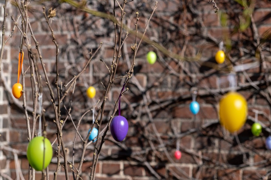 Osterschmuck hängt an Sträuchern vor den Wohnhäusern in der Varnhagenstraße in Berlin-Prenzlauer Berg. / Easter decorations hang on shrubs in front of residential buildings on Varnhagenstraße in Berli ...