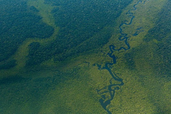 ARCHIV - 10.07.2020, Brasilien, Sao Gabriel da Cachoeira: Luftblick auf den Wald im Amazonas nahe Sao Gabriel da Cachoeira. Nach einer Studie der Welternährungsorganisation (FAO) und des Entwicklungsf ...