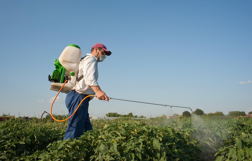 Man spraying vegetables in the garden