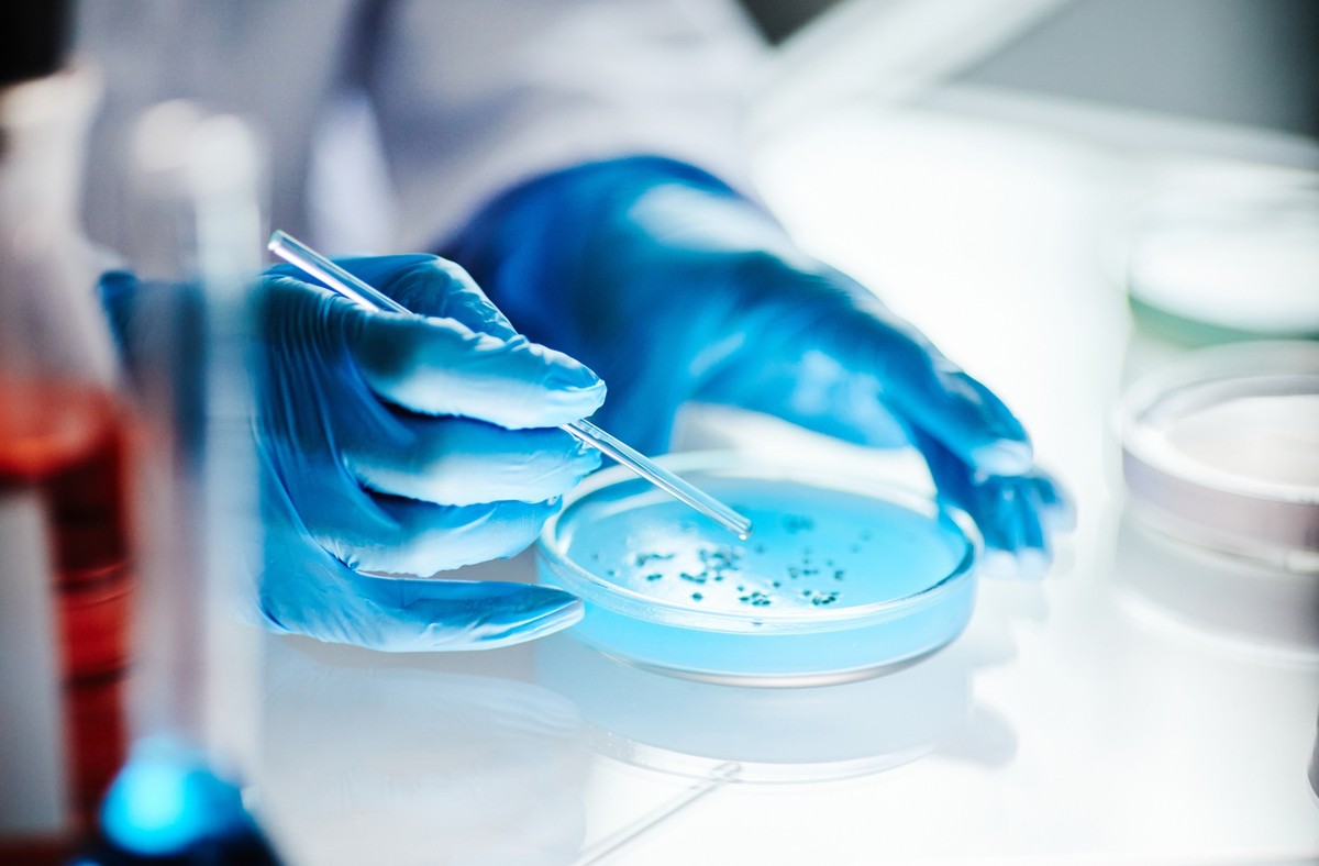 Close up on hands of unrecognizable scientist in vinyl gloves dripping liquid from pipette into petri dish studying microbiology at light table in laboratory, copy space