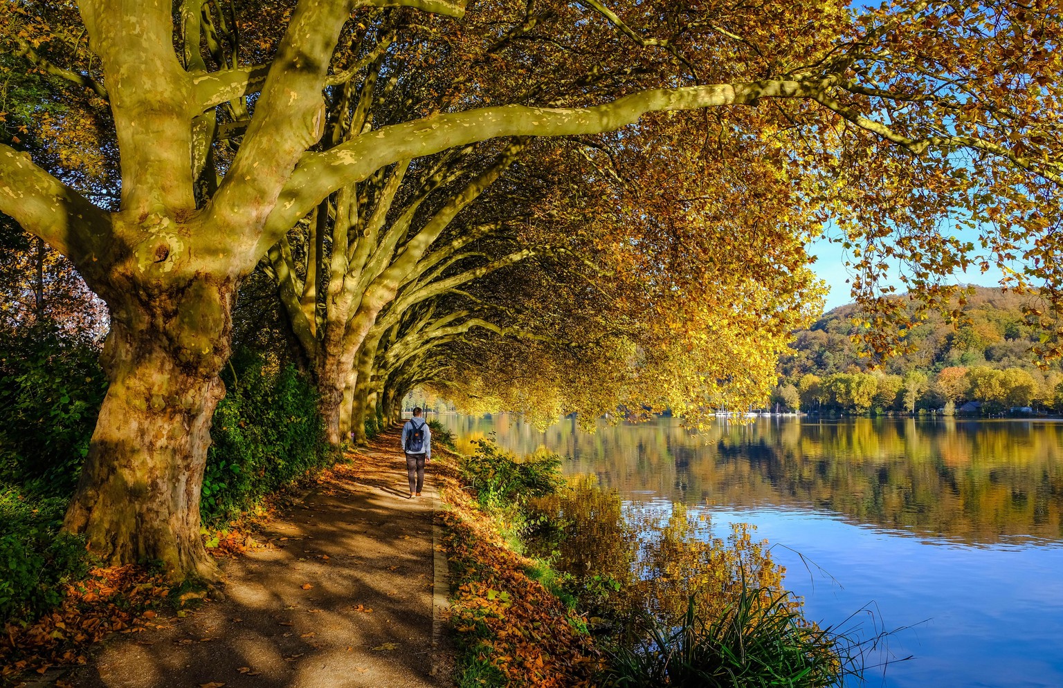 Essen, Nordrhein-Westfalen, Deutschland - Goldener Herbst am Baldeneysee.