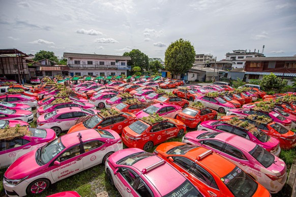 Taxis Bangkok Garten Parkplatz