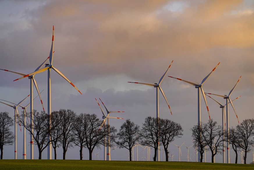 Viele Windenergieanlagen stehen in einem Windenergiepark.