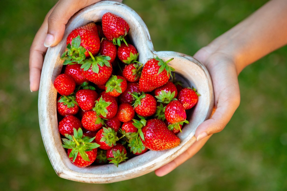 Overhead view of a girl or young woman hands holding a wooden heart shaped bowl of freshly picked red strawberries